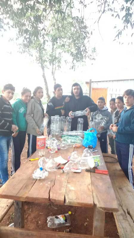 Día del Medio Ambiente